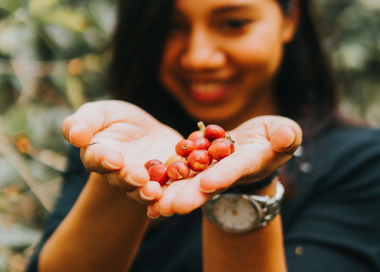 Business Report: Coffee in Indonesia